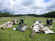 DSCN0136