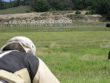 DSCN0137